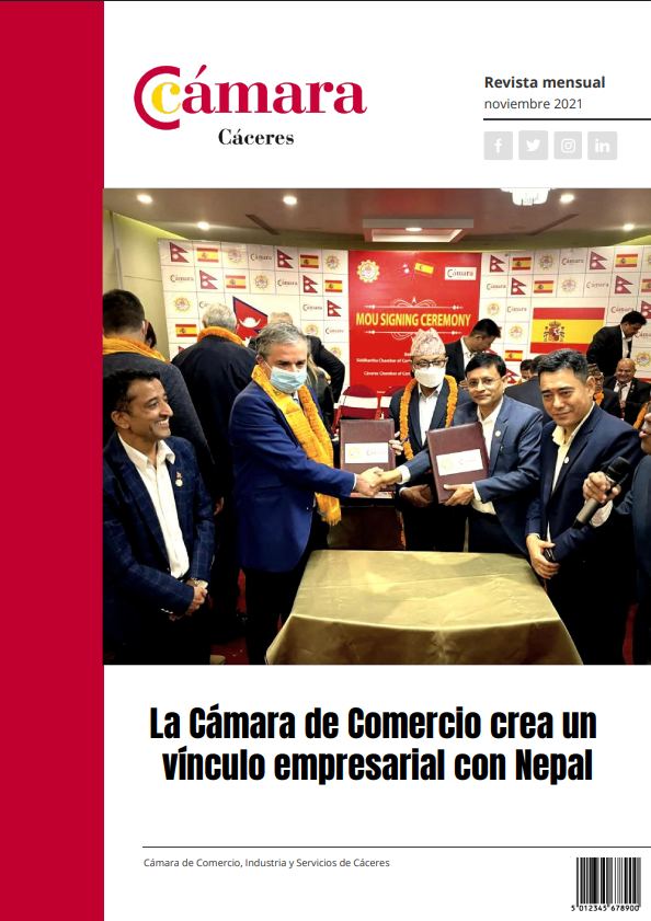 NOVIEMBRE 2021