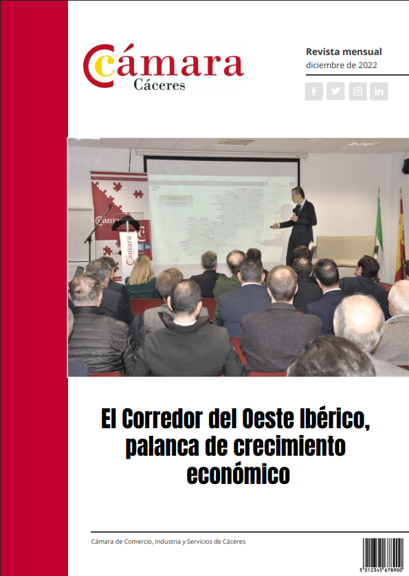 DICIEMBRE 2022