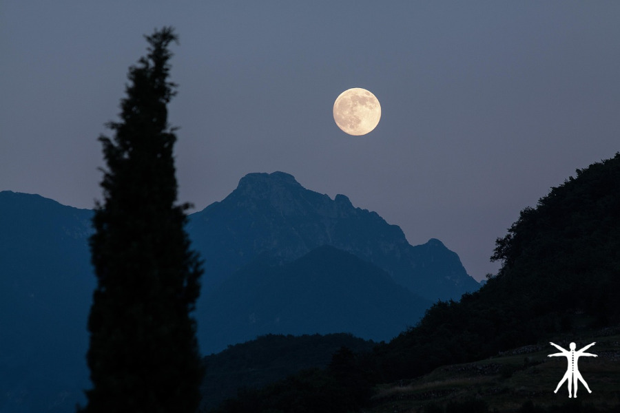 Luna Nueva de Agosto 2025