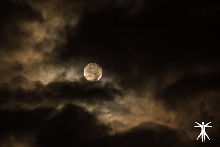 Luna Nueva de Noviembre 2025