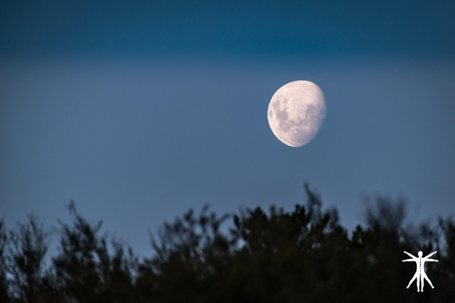 Luna Nueva de Abril 2026