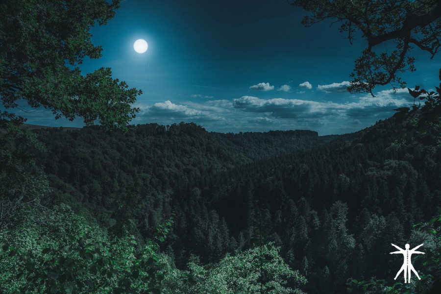 Luna Nueva de junio de 2026