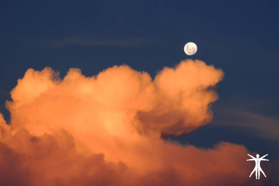 Luna Nueva de julio de 2026