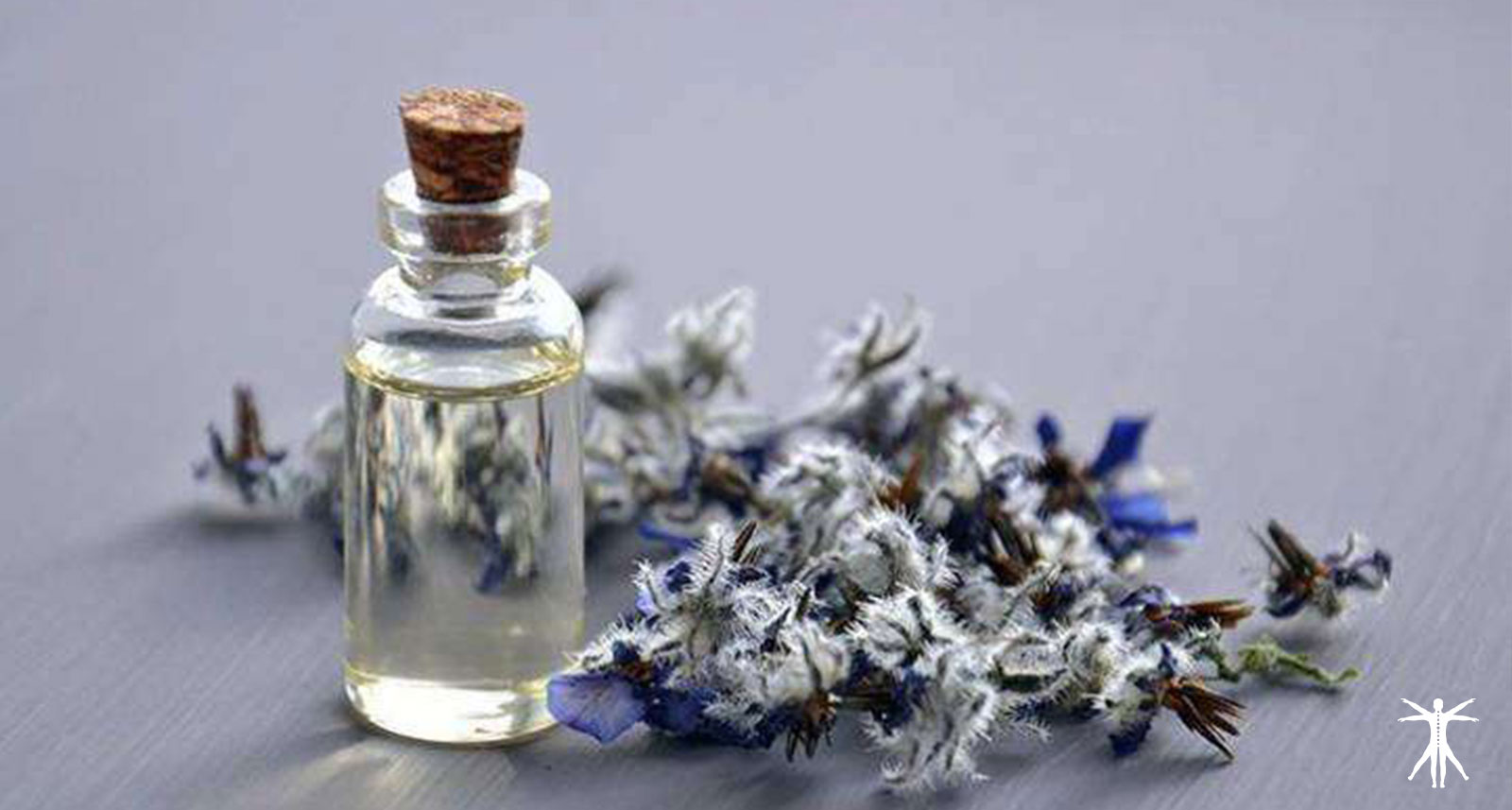 Curso de Técnico Superior en Naturopatía