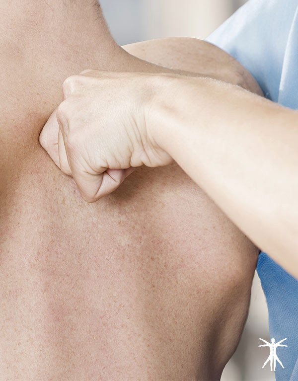 Curso de Quiropraxia