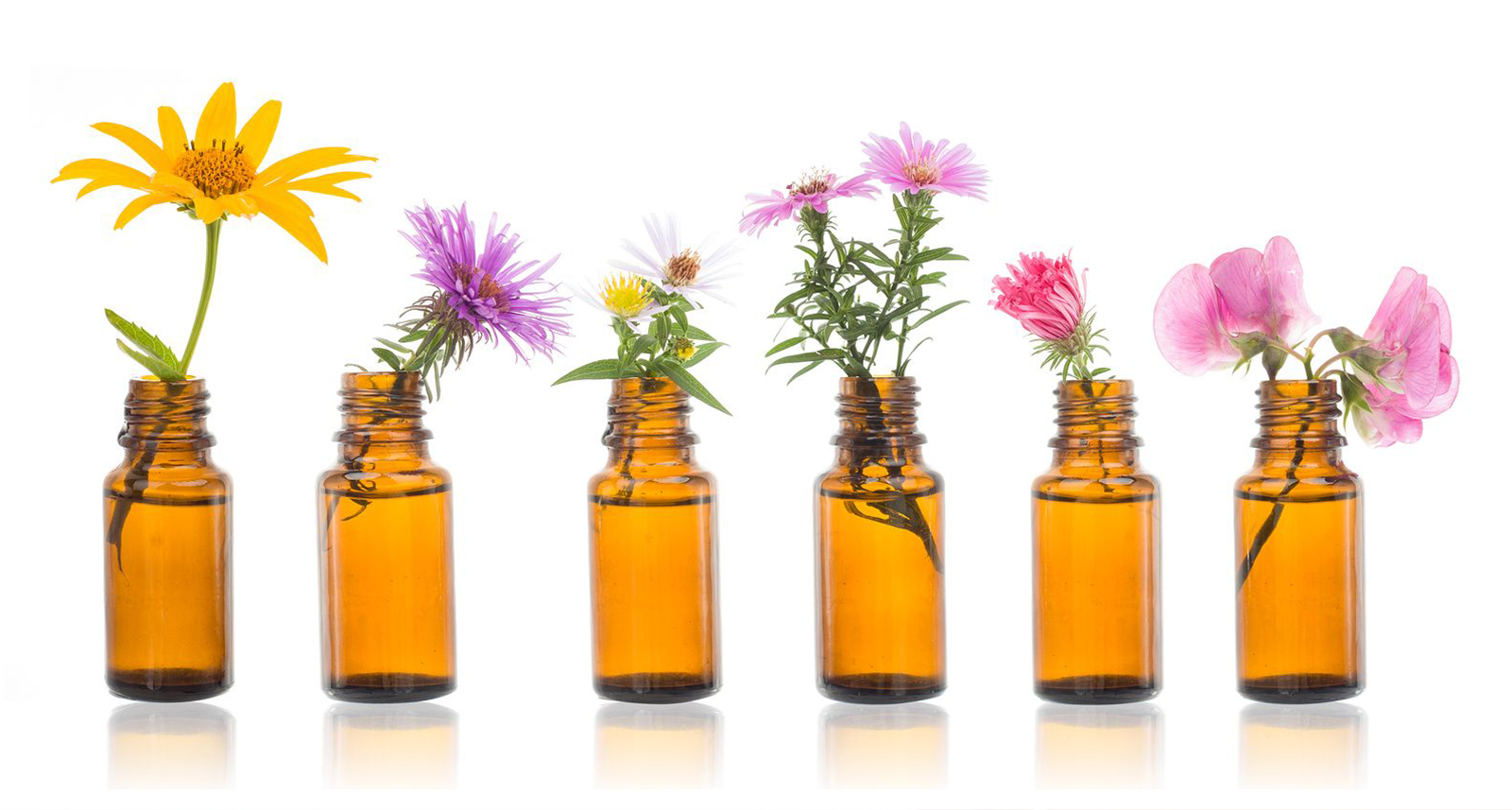 Curso de Flores de Bach
