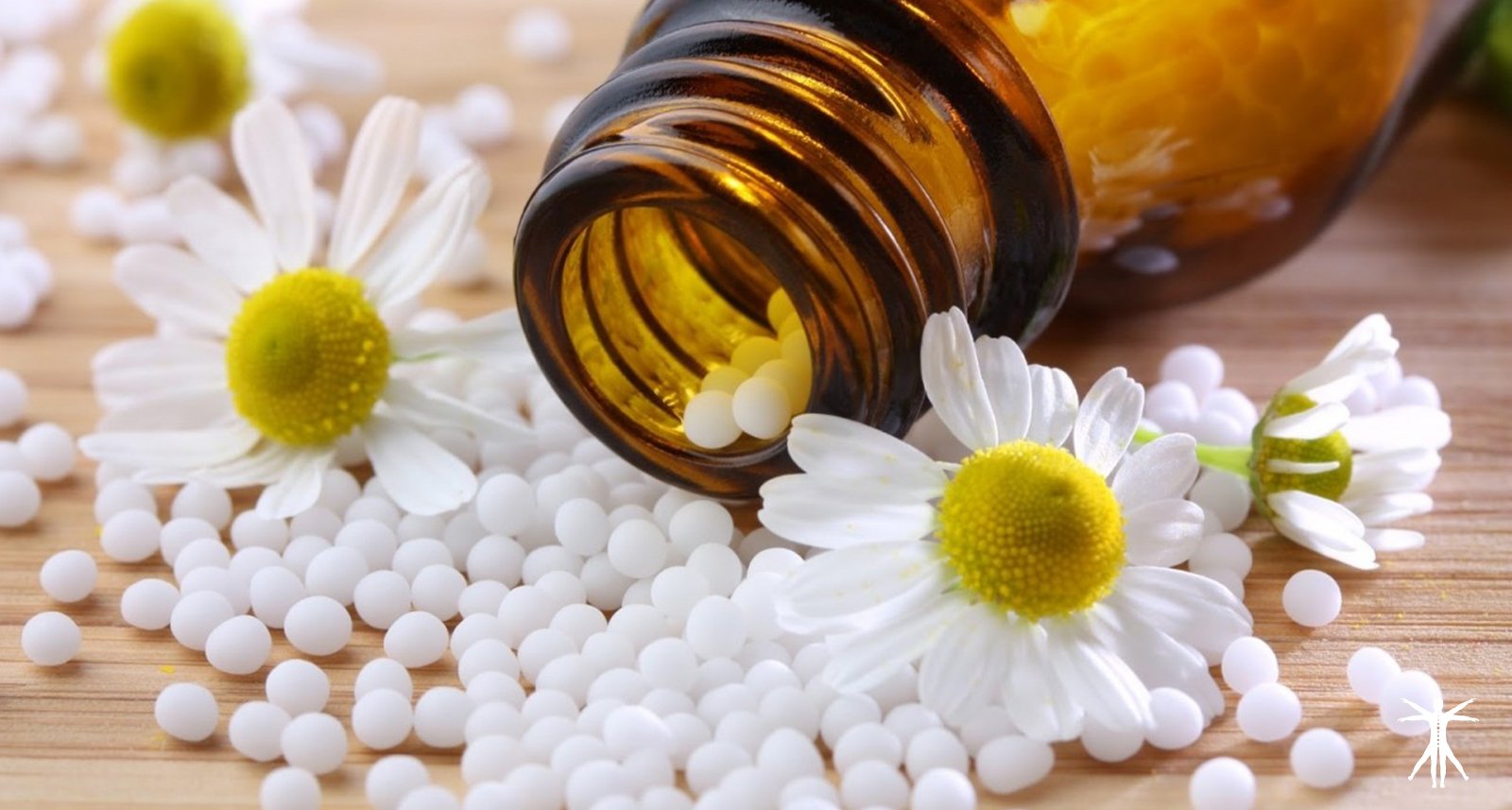 Curso de Homeopatía