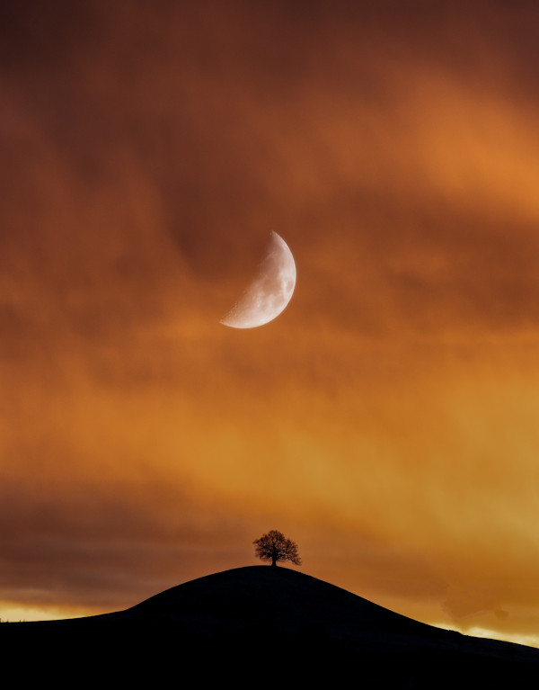 Luna Nueva de Primavera en Medicina China