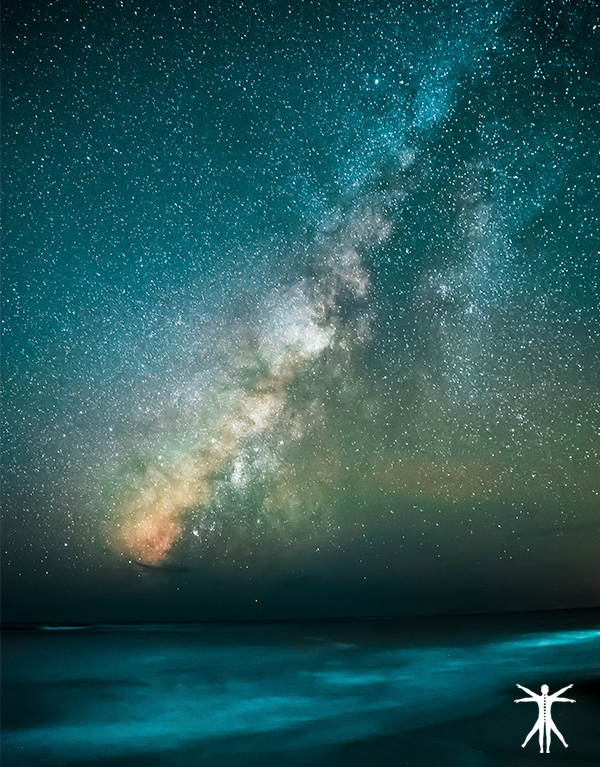 Curso de Leyes Universales