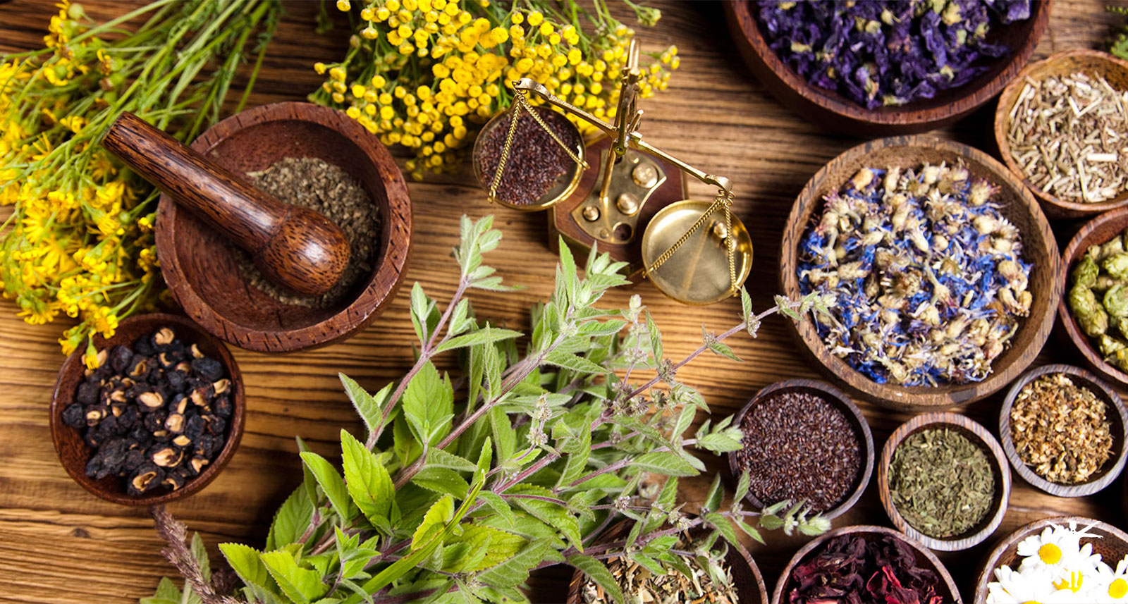 Curso de Herbología China (con plantas occidentales)