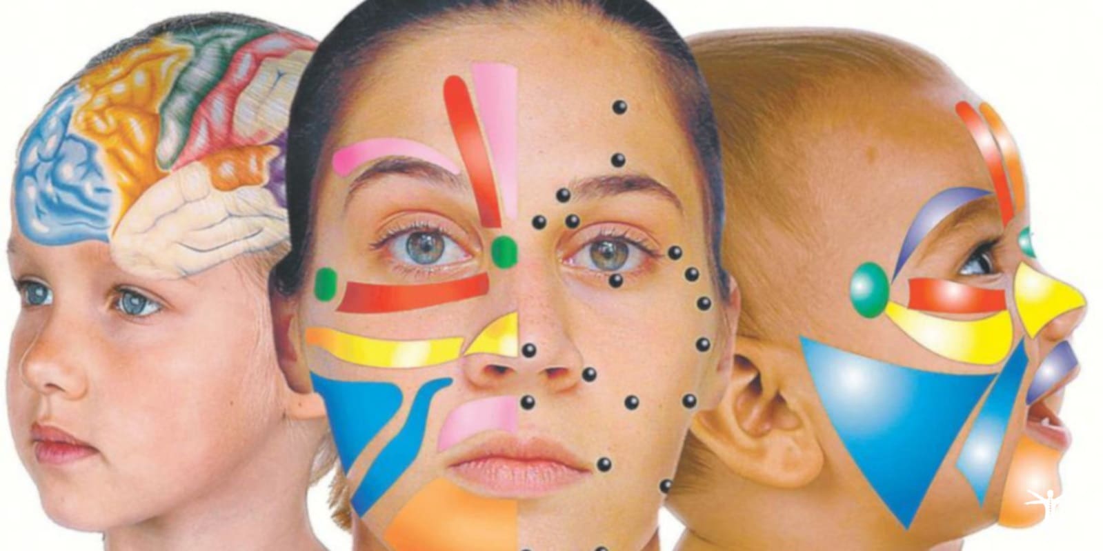 Curso de Diagnóstico por el rostro