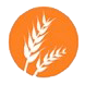 Contiene gluten Contiene gluten