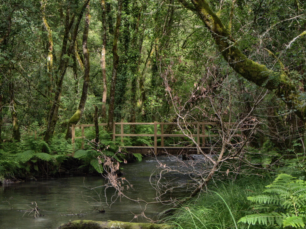 Ruta da Fervenza das Hortas