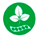 Soja