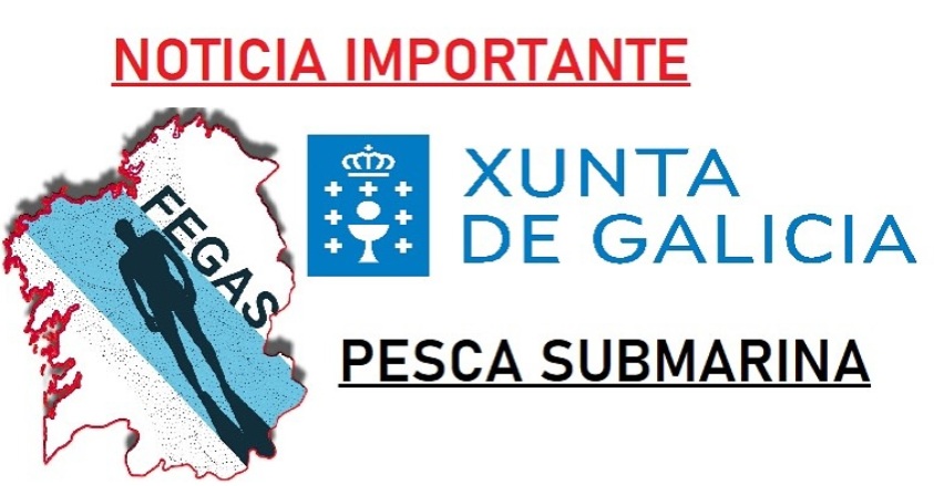 Pesca Submarina sen necesidade de presentar un certificado médico oficial