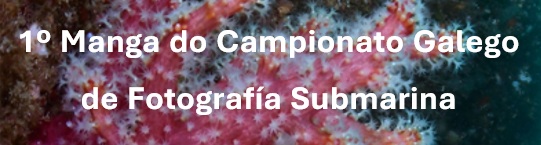 1º Manga do Campionato Galego  de Fotografía Submarina