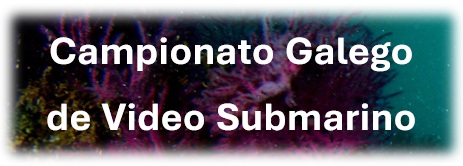 Campionato Galego  de Video Submarino