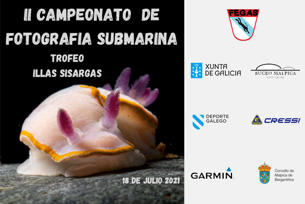 II Campeonato de fotografía submarina - Trofeo Illas Sisargas