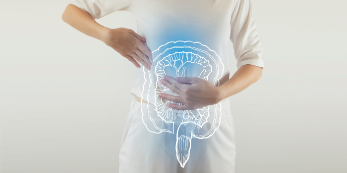 La conexión intestino-cerebro: un macroestudio vincula los trastornos digestivos con un mayor riesgo de alzhéimer y párkinson