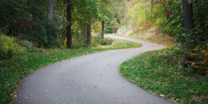 Entrenando la resolución de problemas en la vida con Parkinson por Carmen Breijo