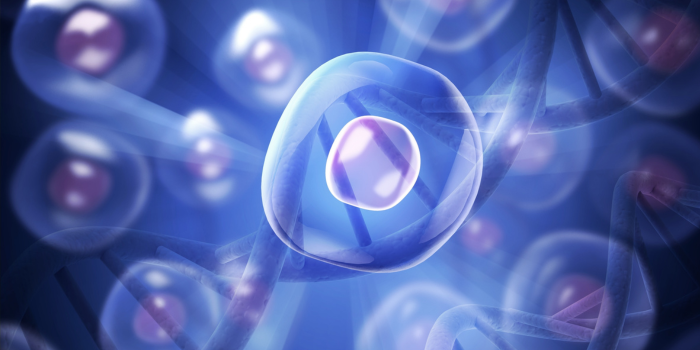 Terapias con células madre y Parkinson: qué significa realmente el avance anunciado en China