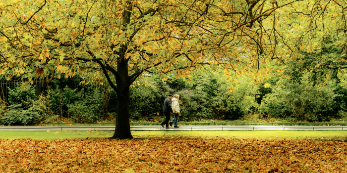 Más de 200.000 personas con párkinson: por qué ya es un reto de salud pública en España