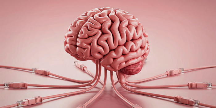 El Parkinson no es solo movimiento: descubren una red cerebral que conecta cuerpo y mente