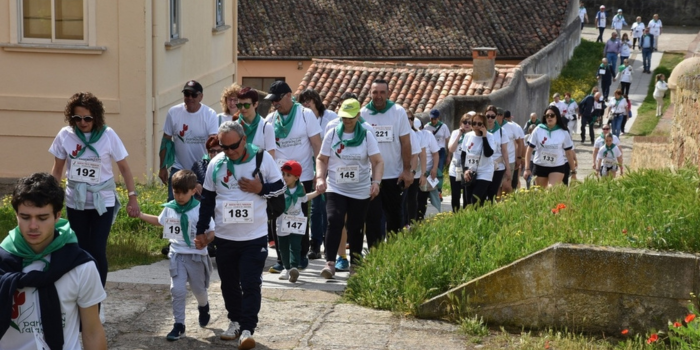 Ciudad Rodrigo acogerá la II Marcha Solidaria del Párkinson el próximo 17 de mayo