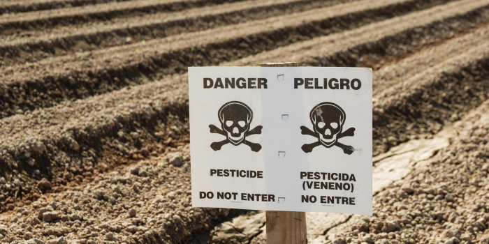 Pesticidas y párkinson: qué revela la investigación sobre el Valle del Río Grande en Texas