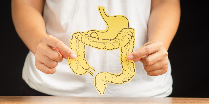 Intestino y párkinson: qué sabemos hoy sobre su relación