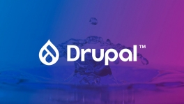 Curso de Drupal 9: Creación de webs interactivas y eficientes