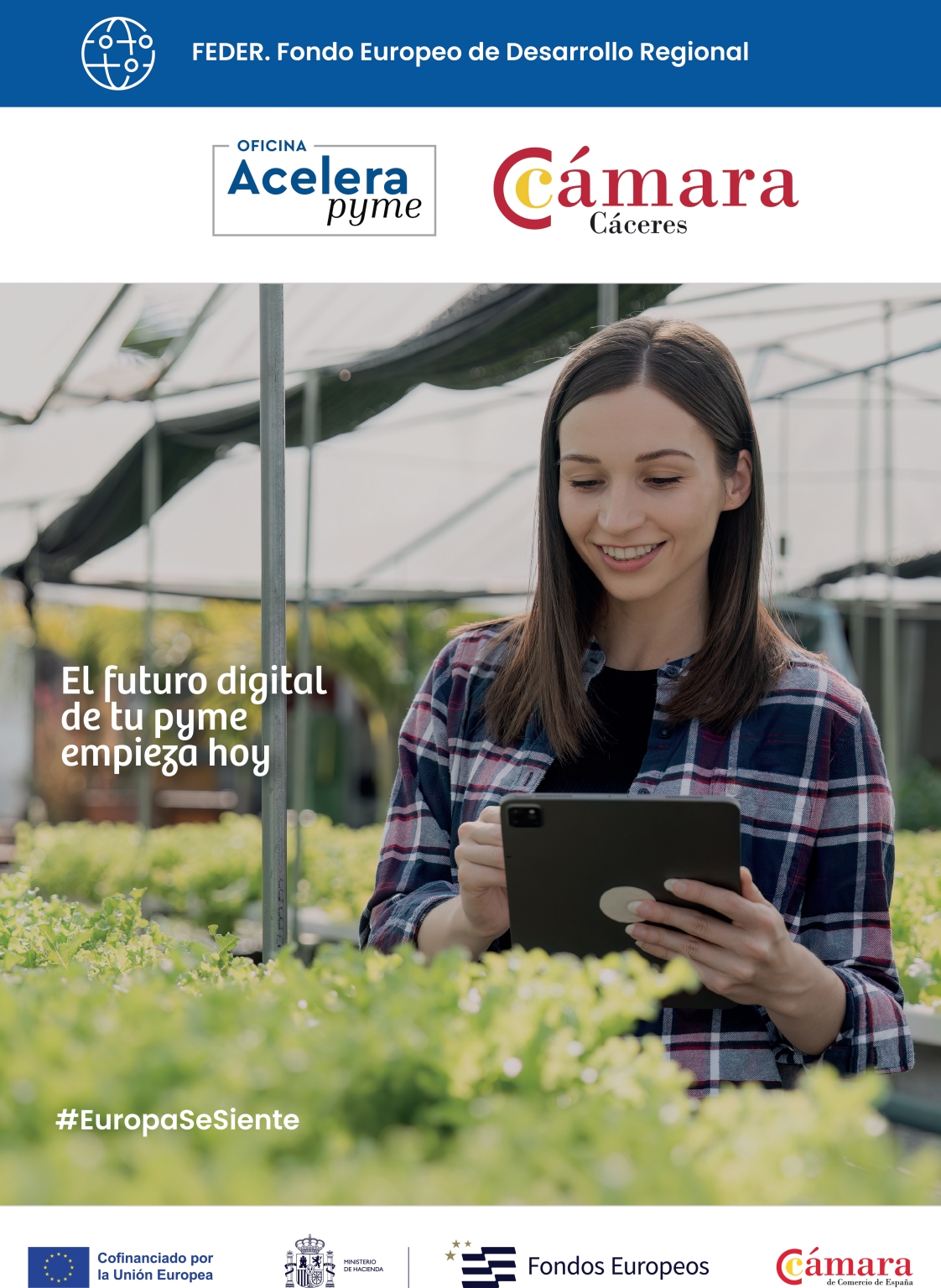 Qué debes saber antes de crear una tienda online