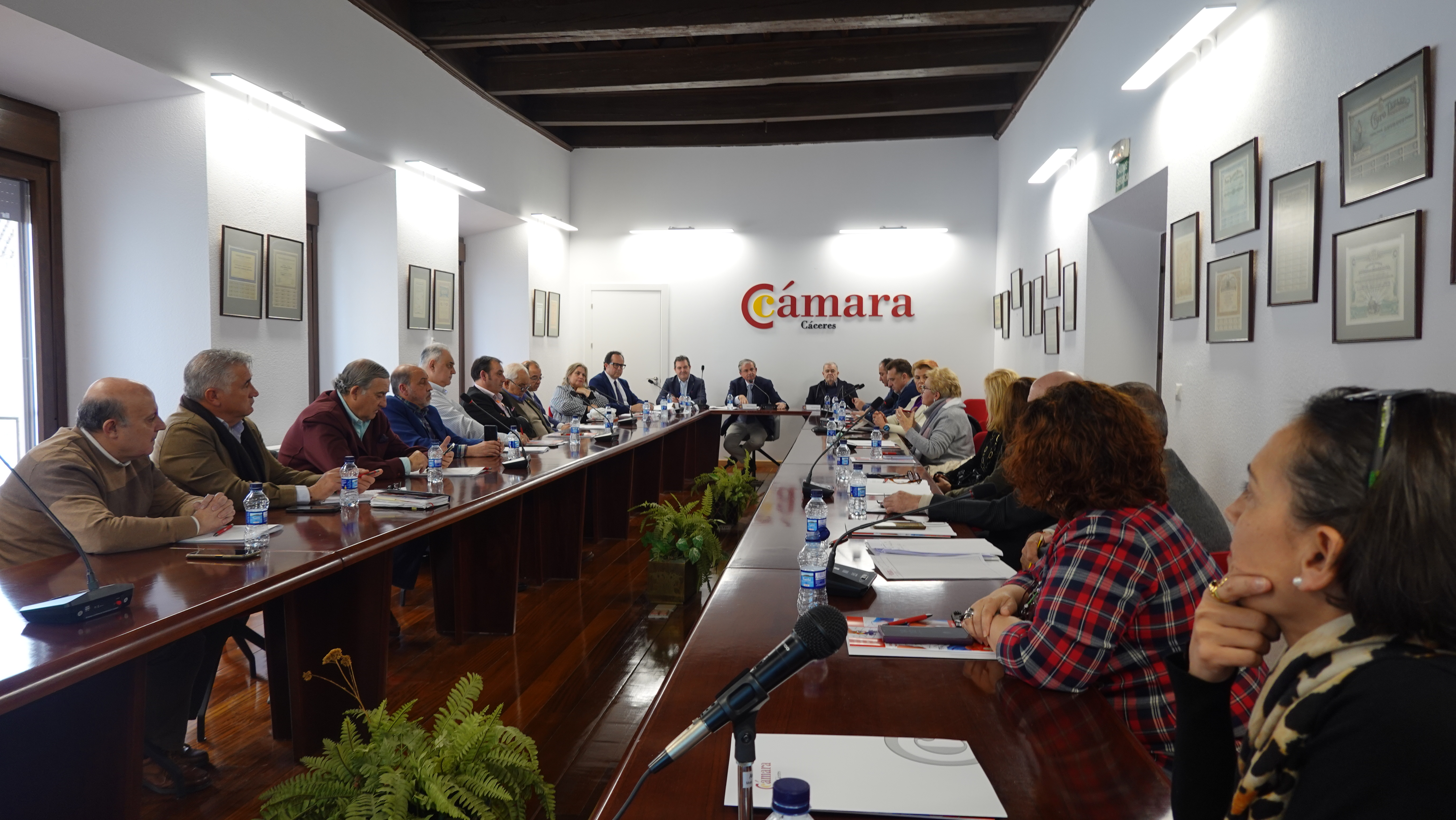La Cámara de Comercio de Cáceres sigue su estela de crecimiento con un aumento de su plantilla y de nuevos proyectos para el impulso del tejido productivo de la provincia