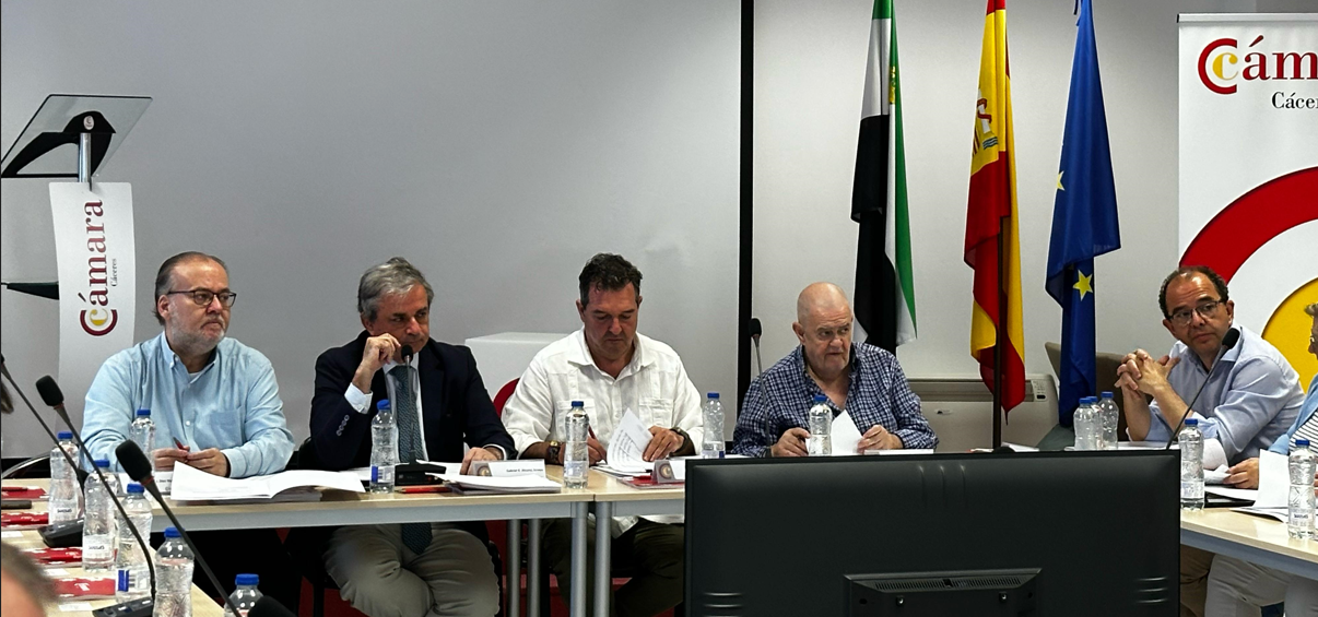 La Cámara de Comercio de Cáceres liquida el presupuesto de 2024 con un superávit 170.819,19 euros