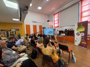 La Cámara de Comercio de Cáceres contribuye en la creación de una marca de calidad para impulsar el higo seco de Extremadura