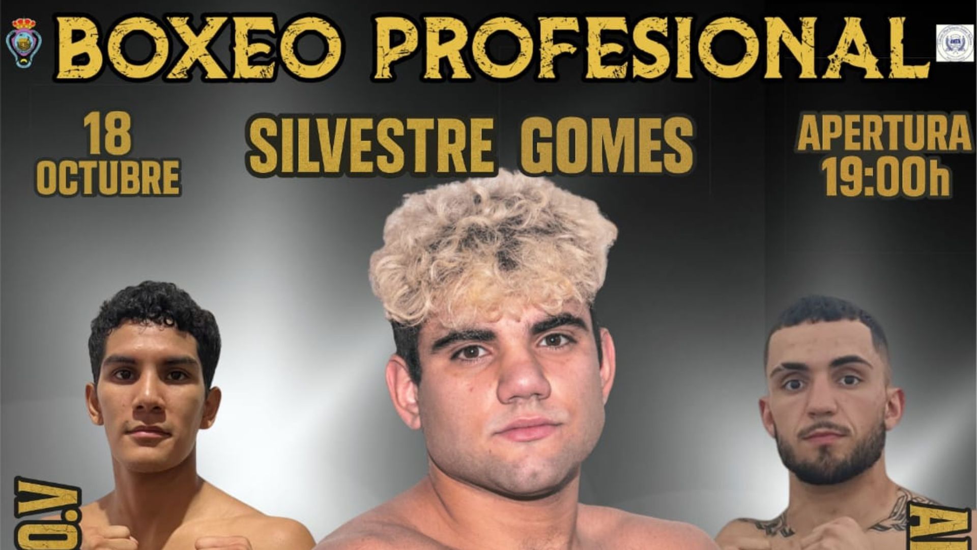 Volve o boxeo profesional!