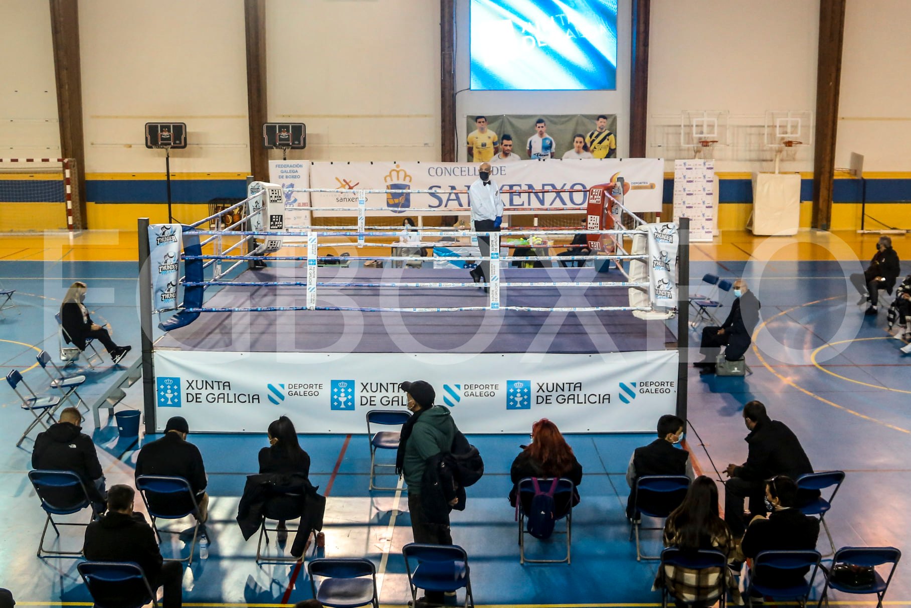 resultados campeonatos Gallegos de Boxeo Promesas y Elite