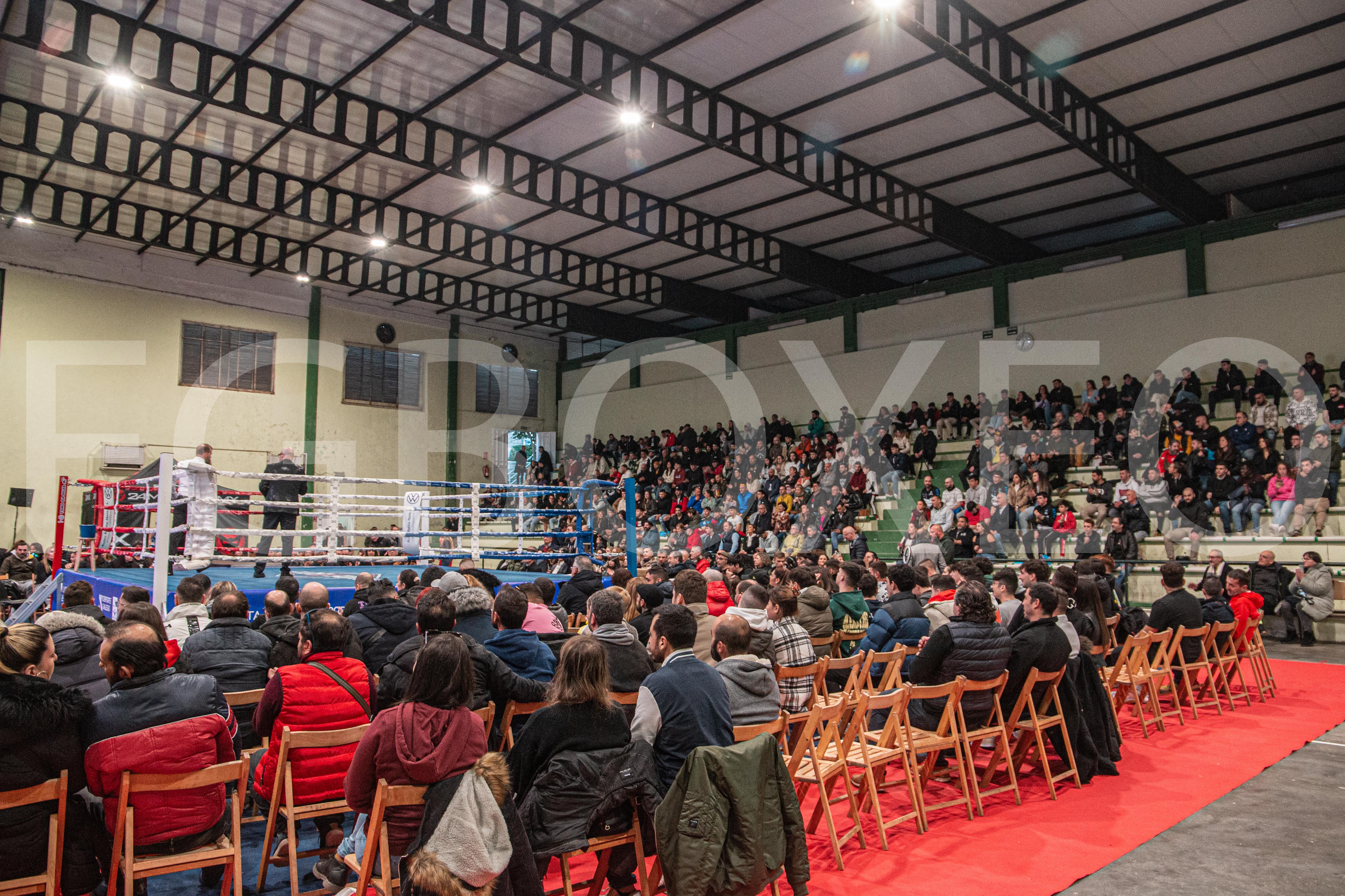 Gran noche de boxeo la vivida en Vigo.