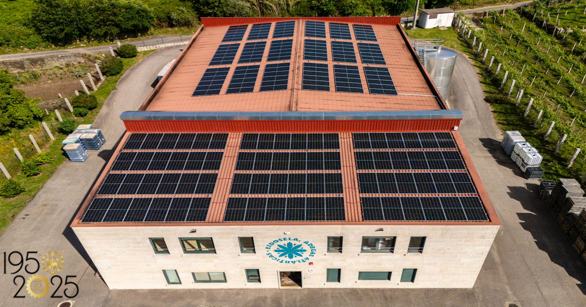 Visita técnica guiada a las instalaciones de la Bodega Eidosela con cata