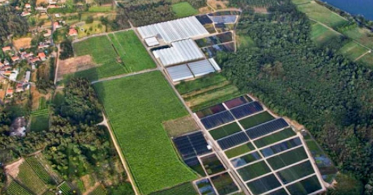 Visita Coplant 21/11/2025