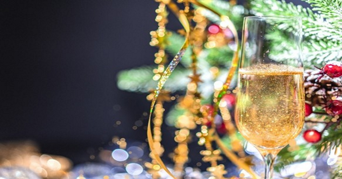 Brindis Colegial 2025 Delegación de Pontevedra | ICOIIG