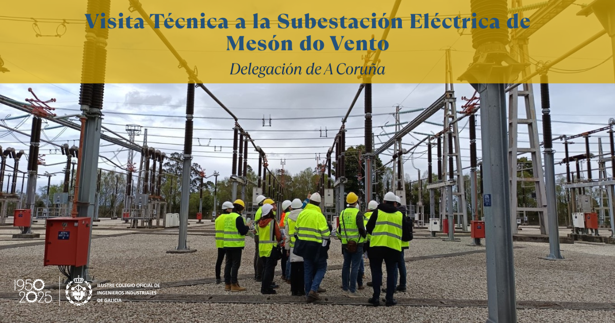 Visita Técnica a la Subestación Eléctrica de Mesón do Vento