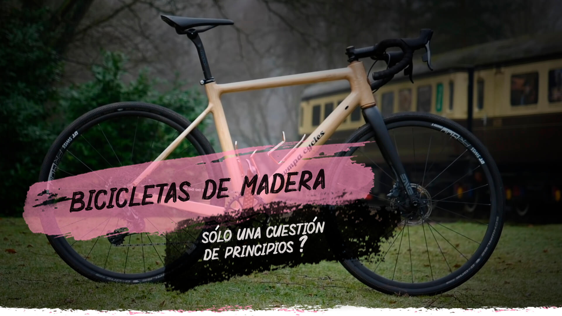 BICICLETAS DE MADERA, UNA OPCIÓN REAL?