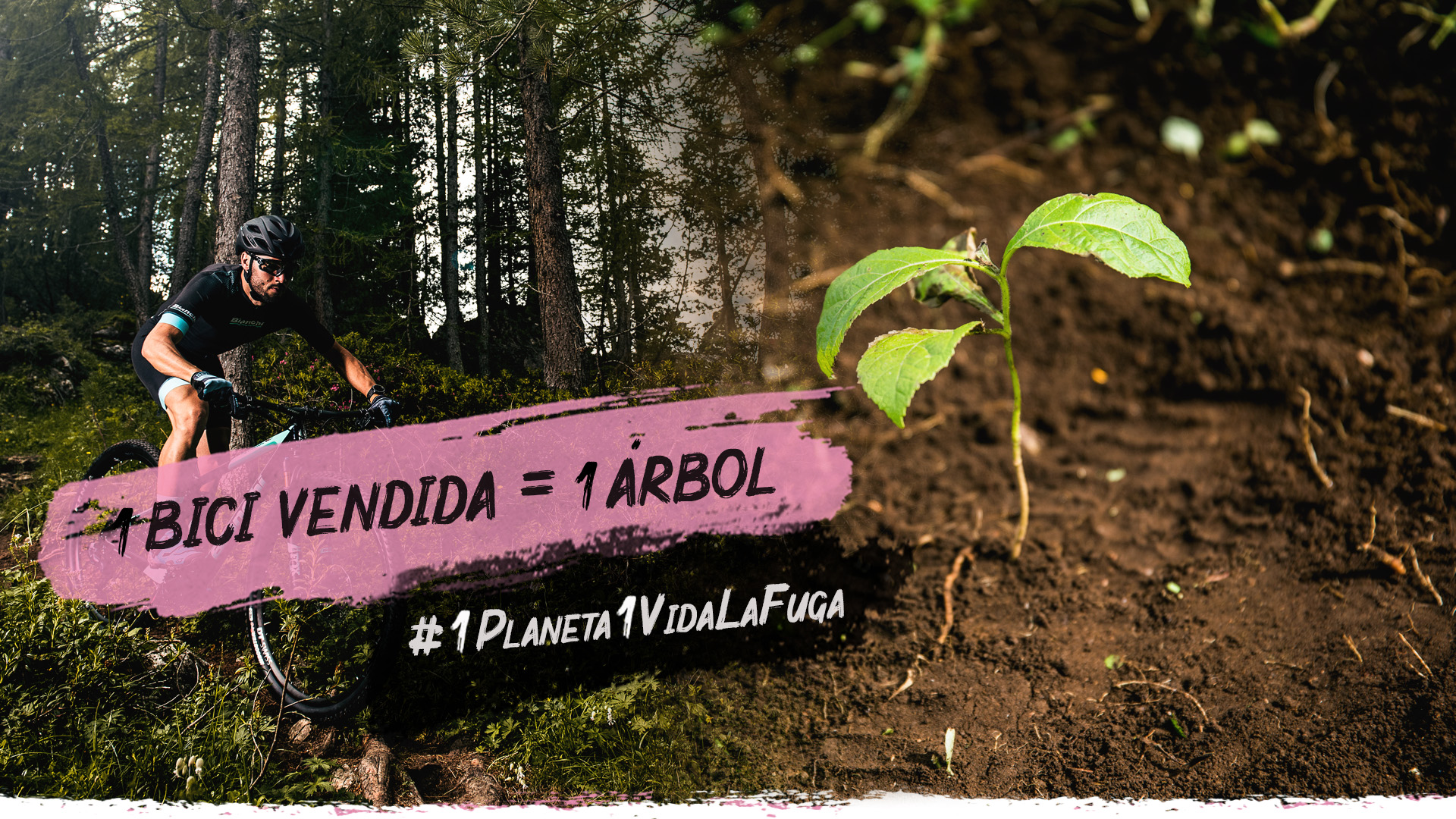 LaFuga Cycling plantará un árbol por cada bicicleta que se venda en cualquiera de sus tiendas y su página web