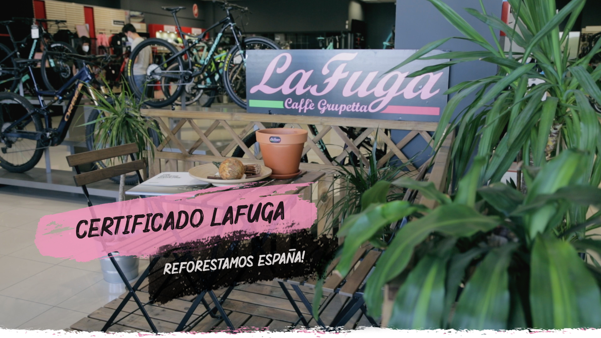 Lafuga garantiza tu contribución a la reforestación en España